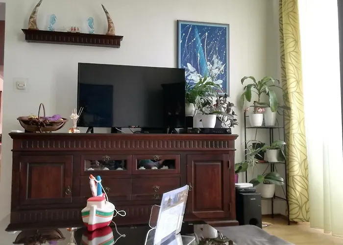 Teresina Volosko אופטיה